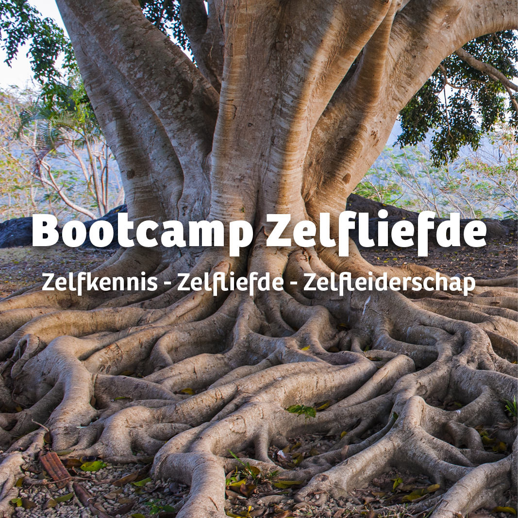Bootcamp Zelfliefde training coaching voor volwassenen | Talent&nest - Talent coaching en positieve ondersteuning Gent en Laarne